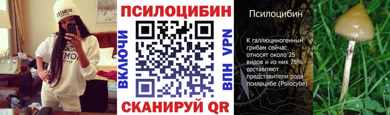 Галлюциногенные грибы MAGIC MUSHROOMS  Купить где  Лаишево 