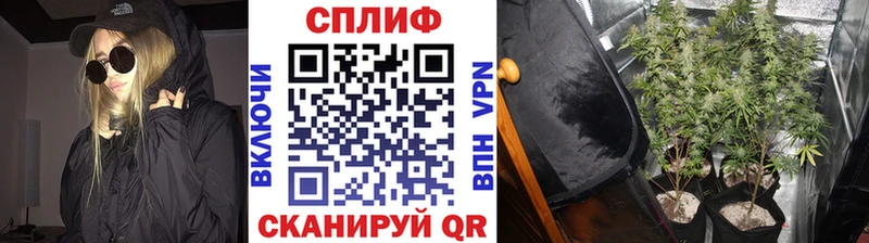 Купить  Лаишево  Конопля конопля 